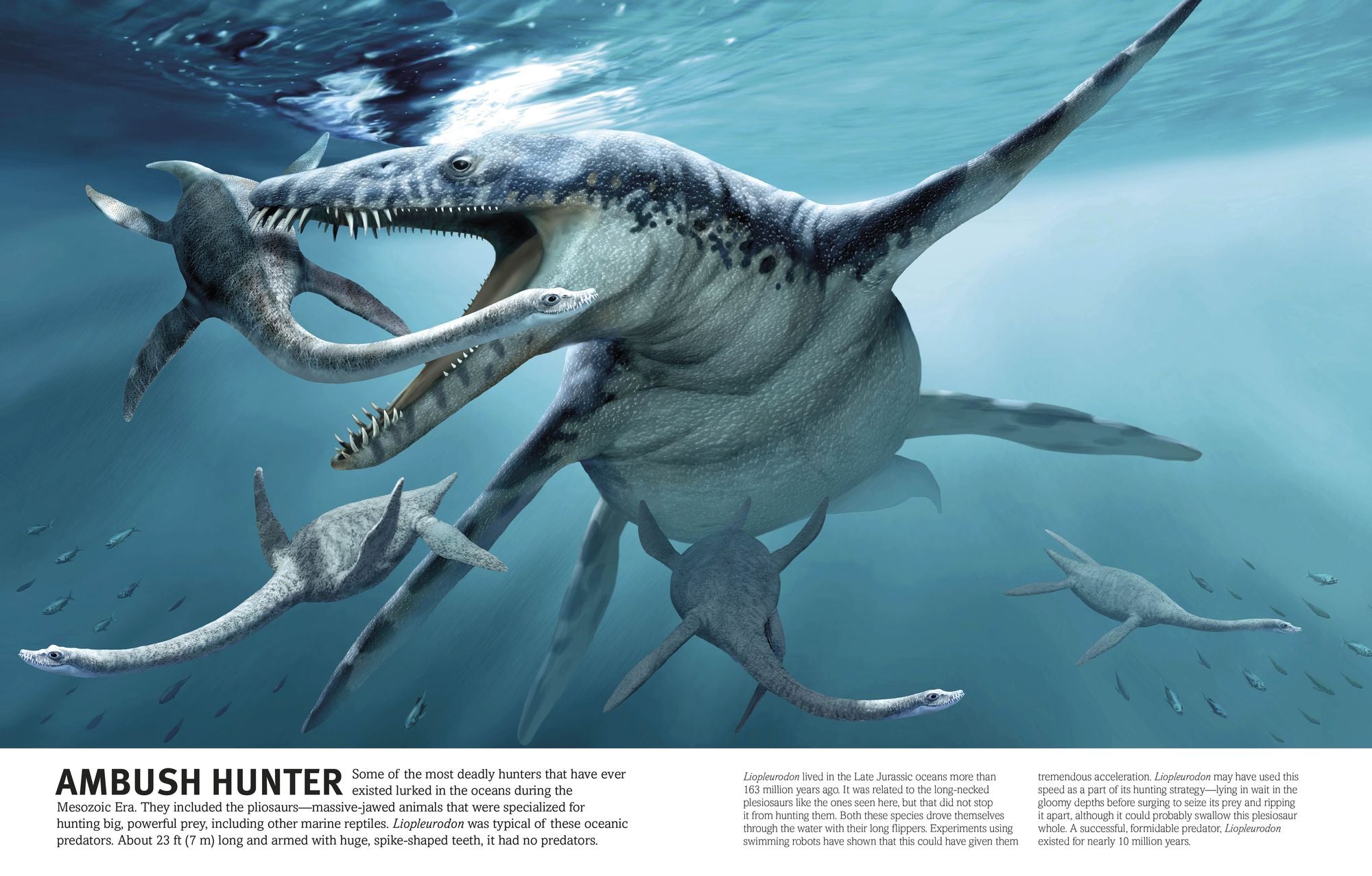 The Dinosaurs Book
