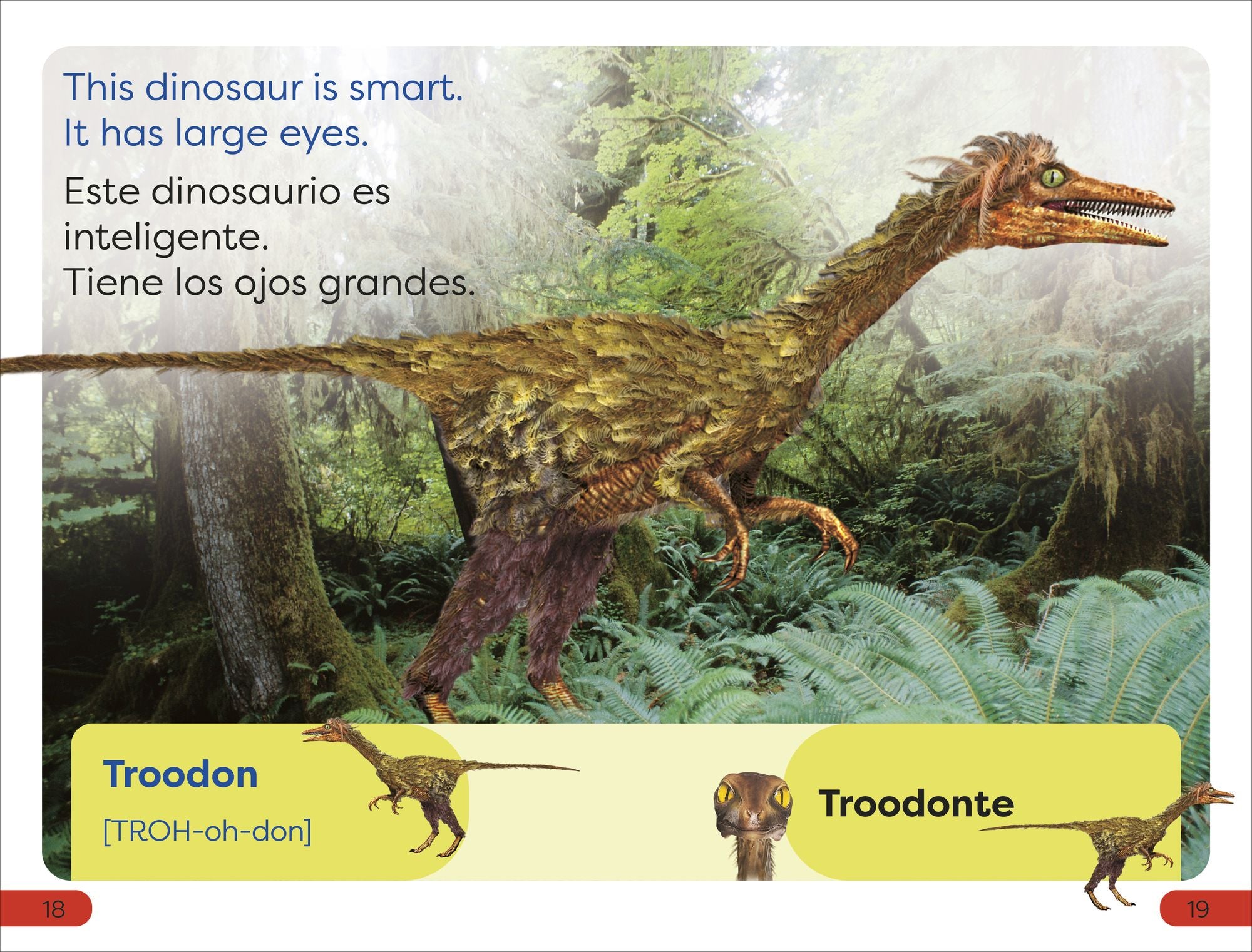 DK Super Readers Pre-Level English-Spanish Bilingual Meet the Dinosaurs - Conoce los dinosaurios