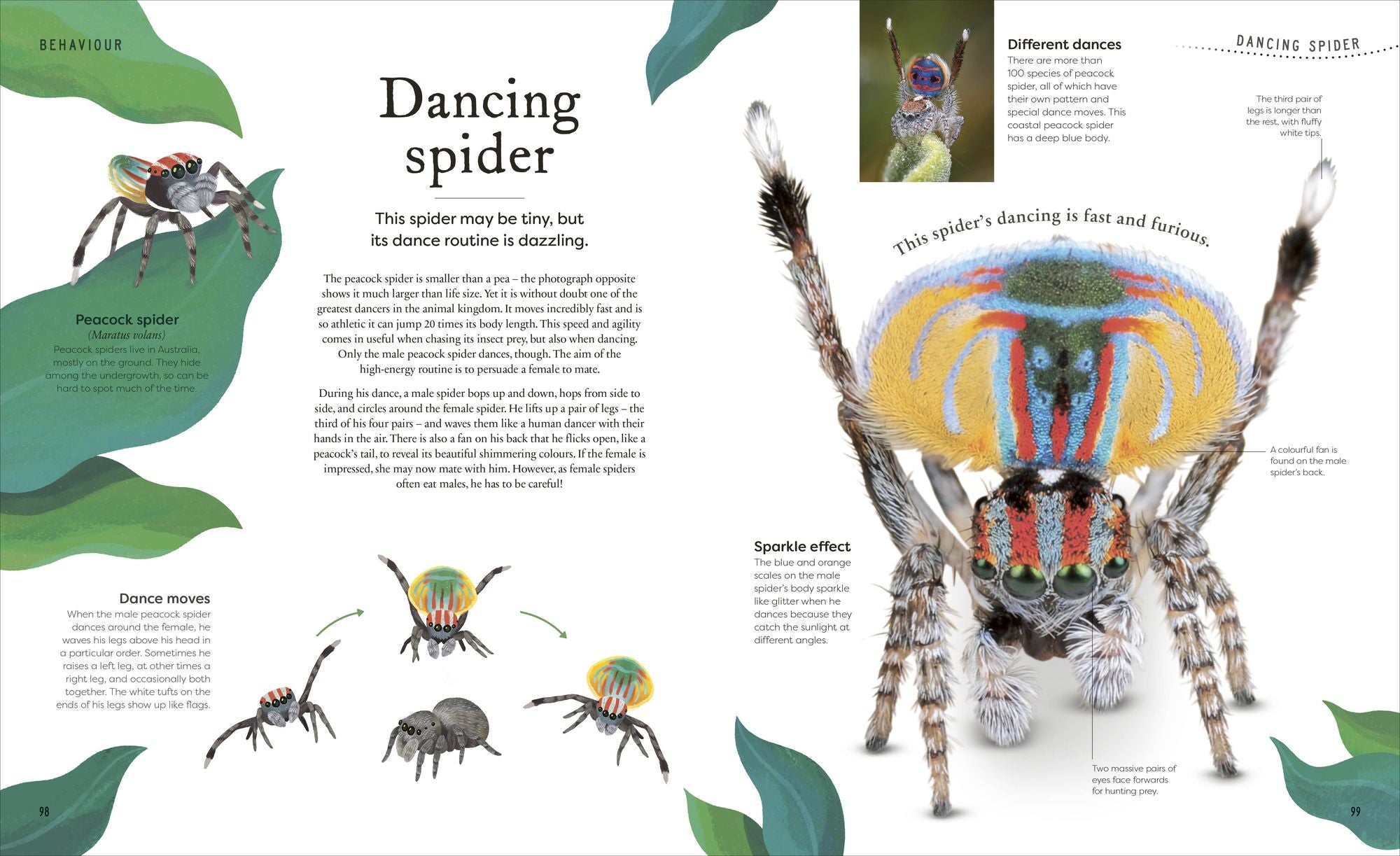 Weird and Wonderful Nature: Tales of More Than 100 Unique Animals, Plants, and Phenomena