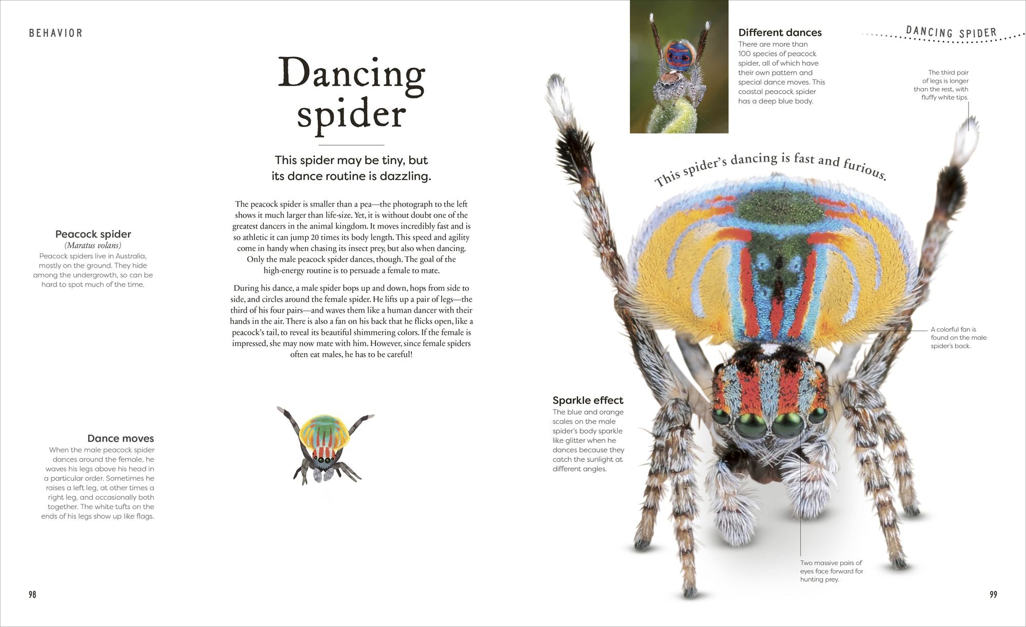Weird and Wonderful Nature: Tales of More Than 100 Unique Animals, Plants, and Phenomena
