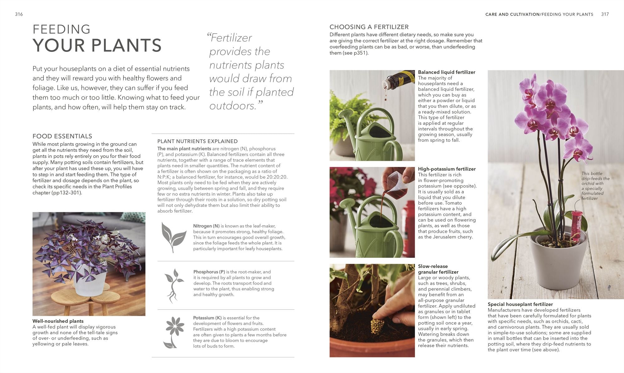 Houseplant: Practical Advice for All Houseplants, Cacti, and Succulents