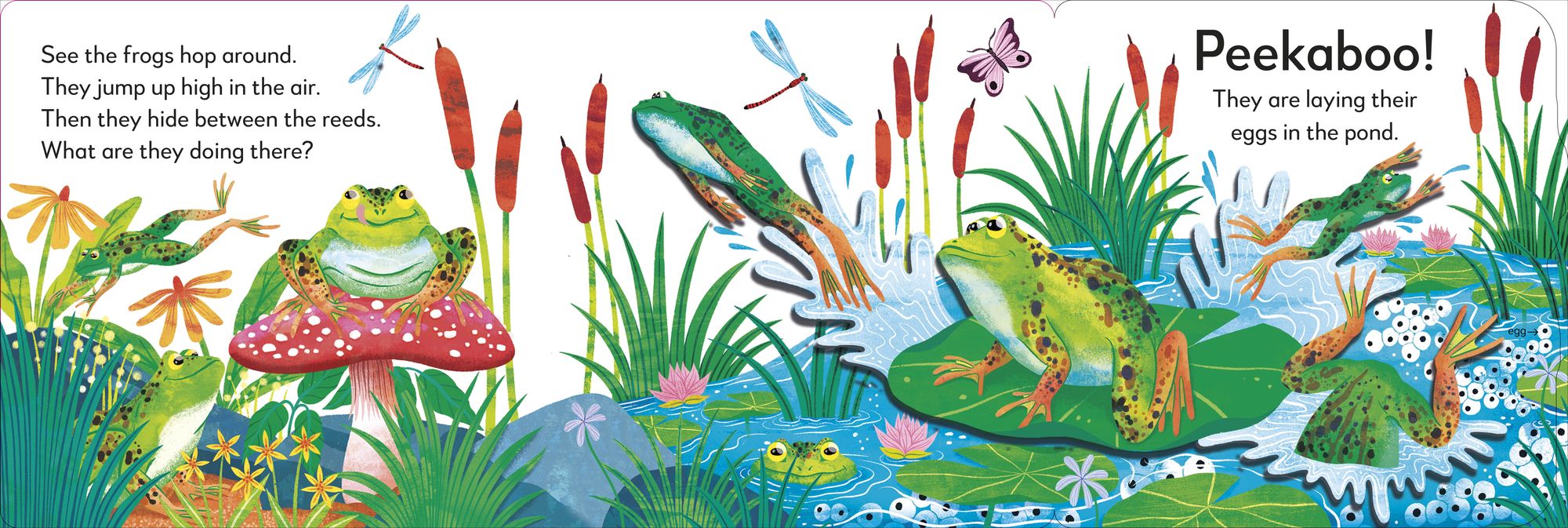 Pop-Up Peekaboo! Frog: A Nature Surprise Under Every Flap!