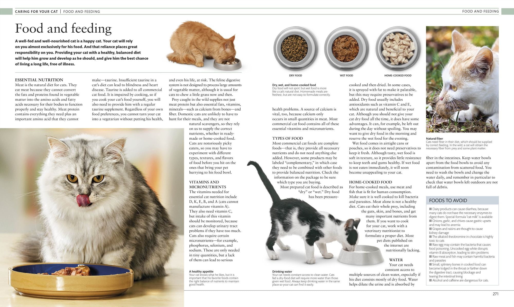 The Cat Encyclopedia: The Definitive Visual Guide