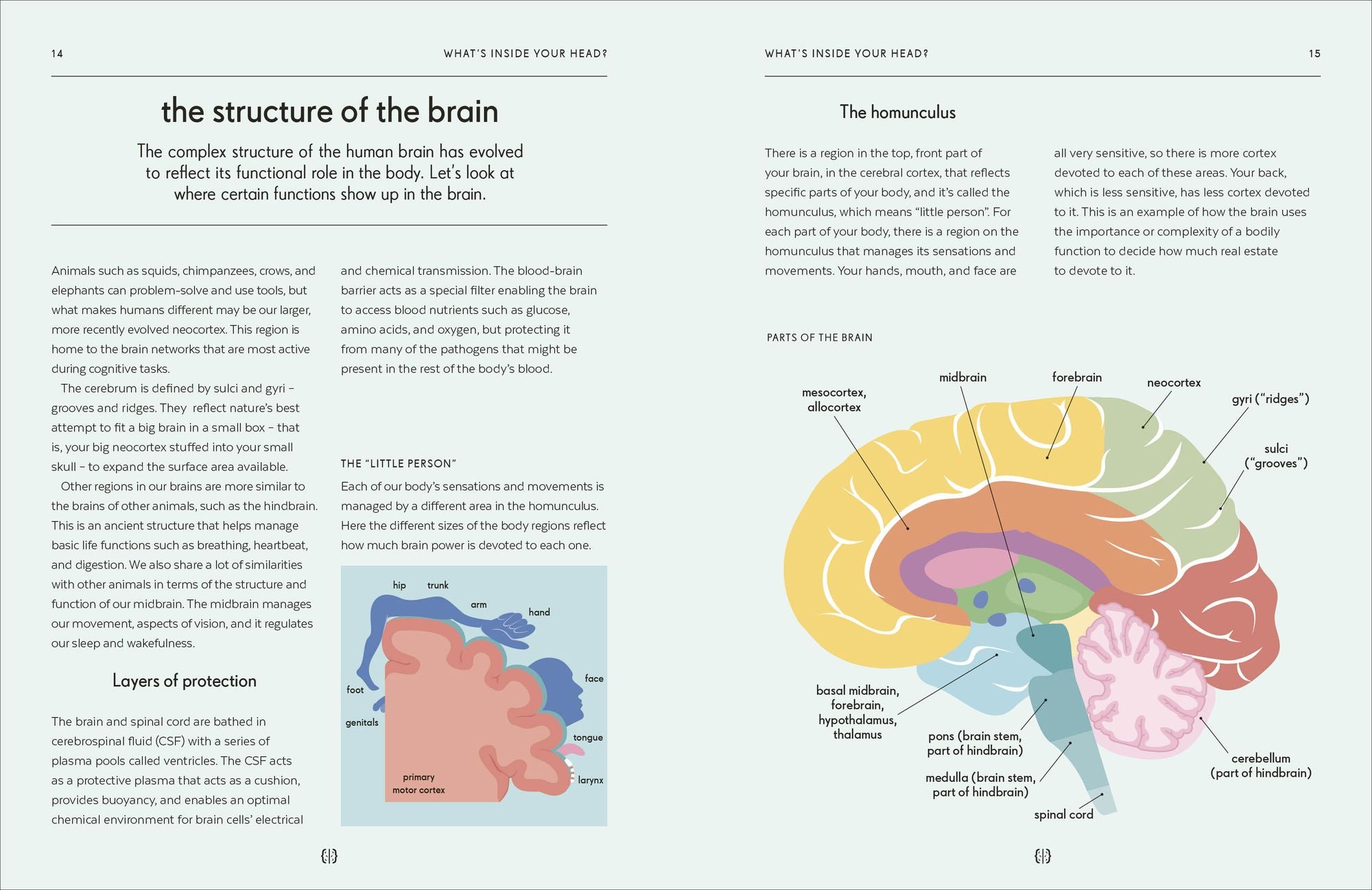 Brain: An Owner's Guide