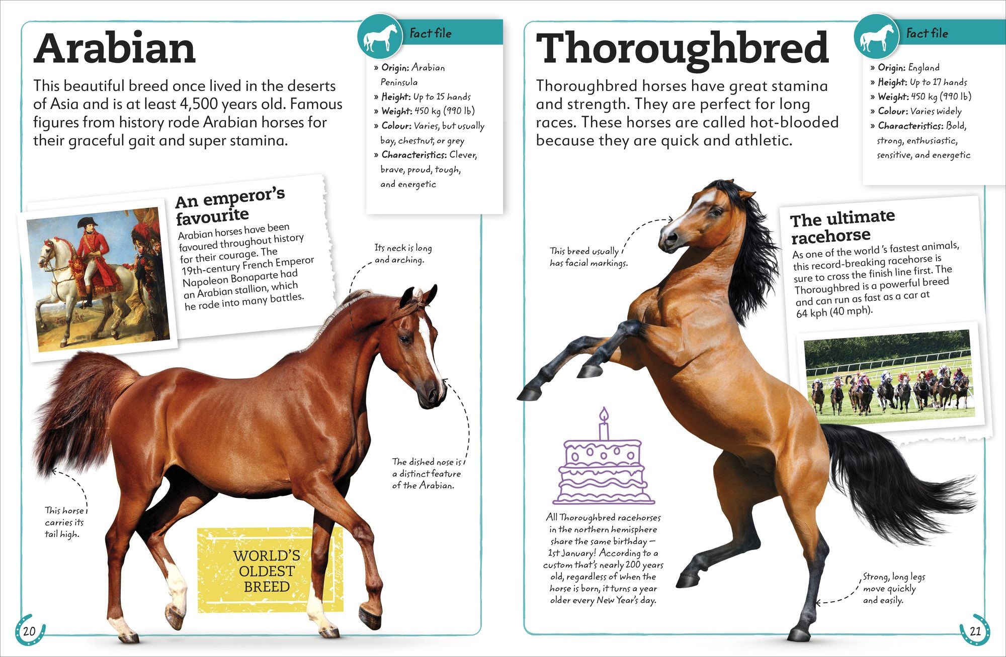 My Book of Horses and Ponies: A Fact-Filled Guide to Your Equine Friends