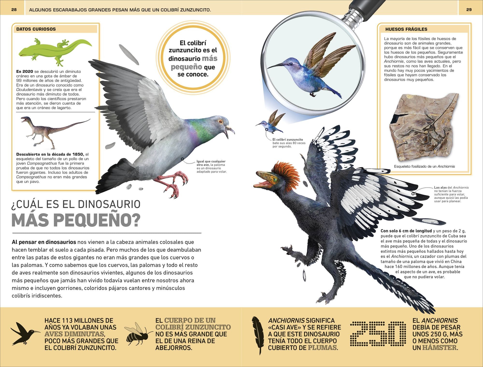 Dinosaurios: 1000 curiosidades increÃ­ble (1,000 Amazing Dinosaurs Facts)