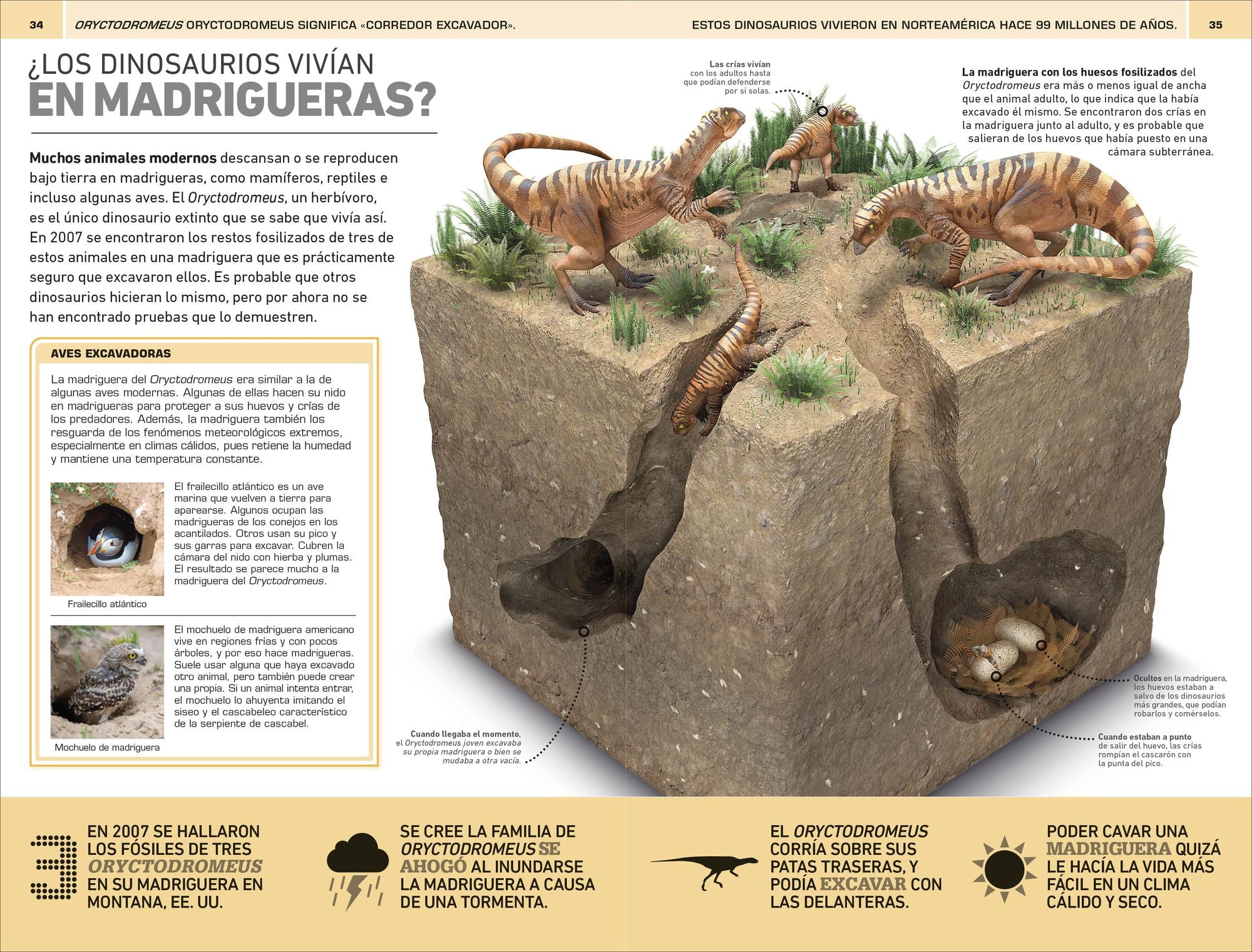 Dinosaurios: 1000 curiosidades increÃ­ble (1,000 Amazing Dinosaurs Facts)