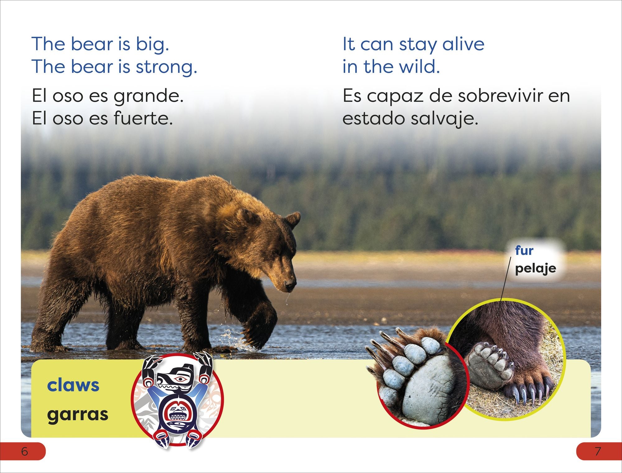 DK Super Readers Pre-level English-Spanish Bilingual A Bear's Tale - Relato de un oso