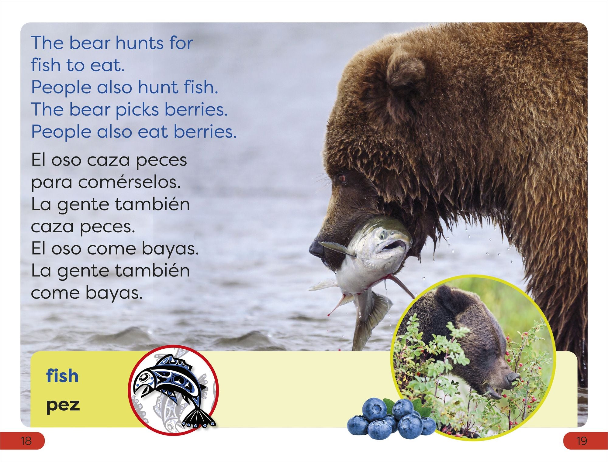 DK Super Readers Pre-level English-Spanish Bilingual A Bear's Tale - Relato de un oso