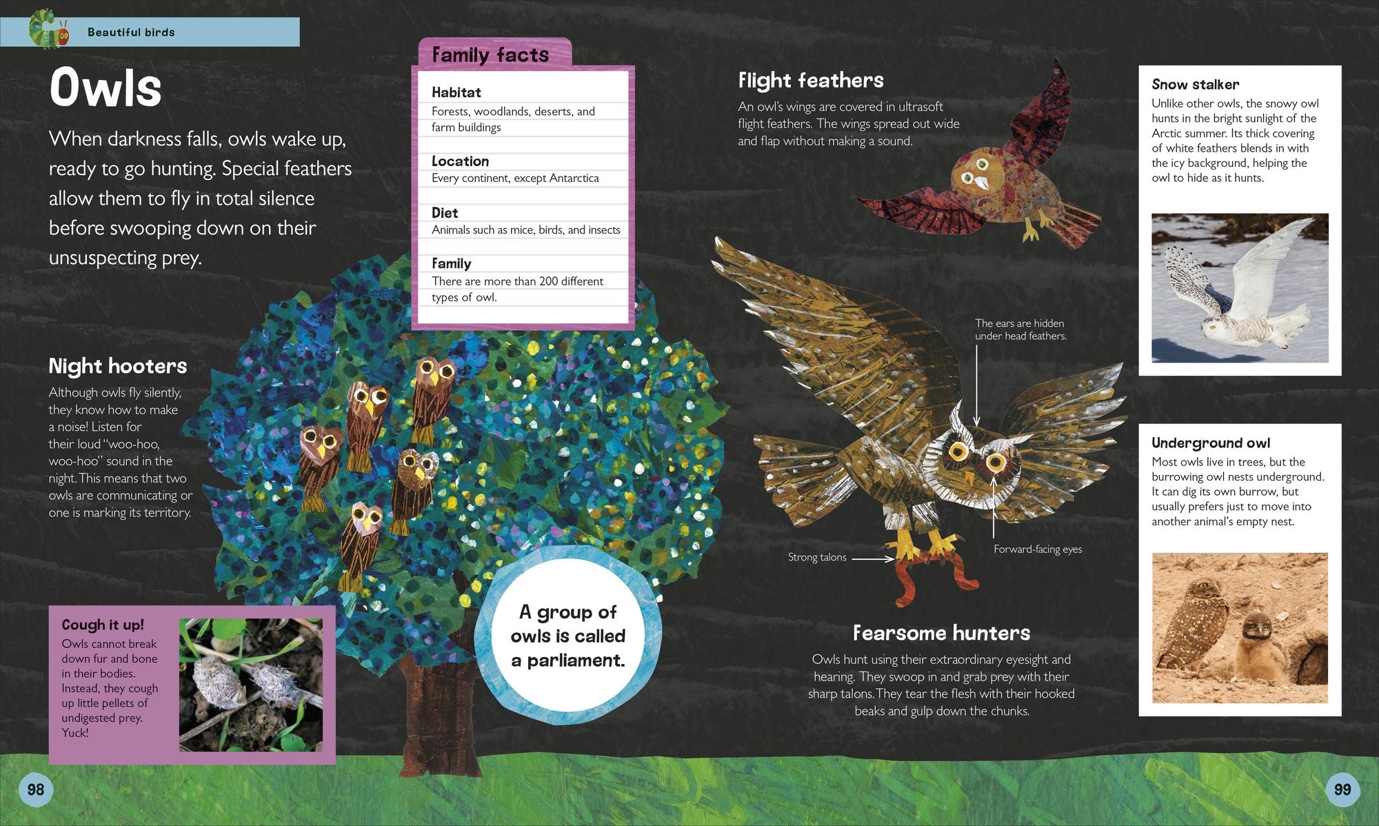 The Very Hungry Caterpillar's Very First Animal Encyclopedia: An Introduction to Animals, For VERY Hungry Young Minds