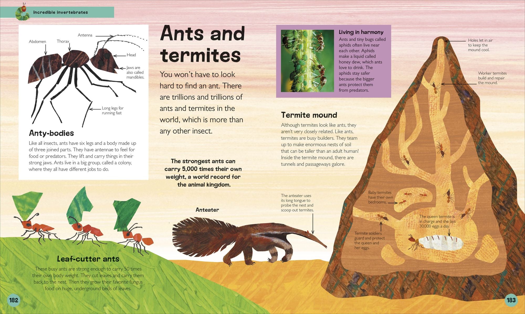 The Very Hungry Caterpillar's Very First Animal Encyclopedia: An Introduction to Animals, For VERY Hungry Young Minds