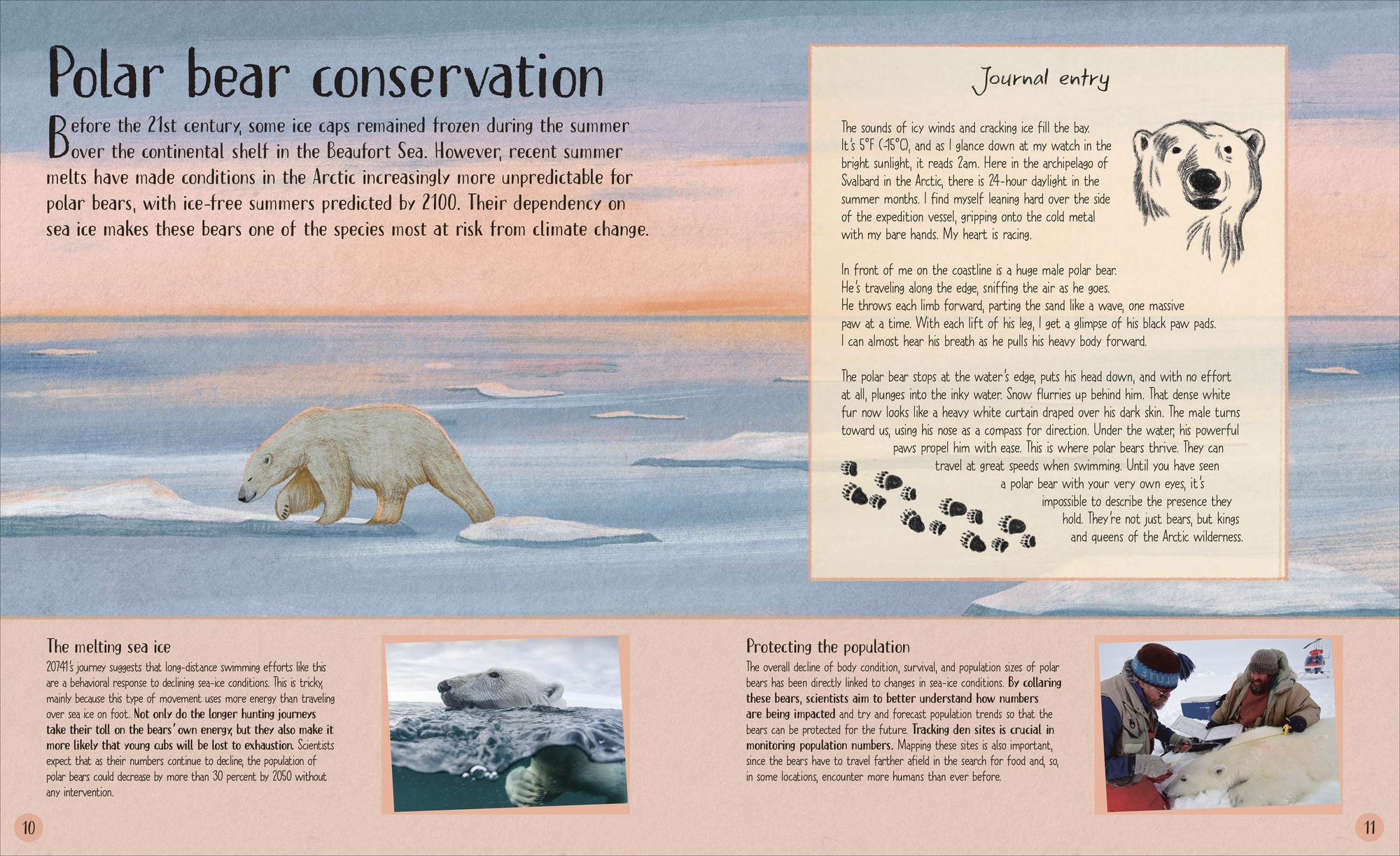 Life in the Wild: Observing the Mysterious Lives of 10 Real Animals