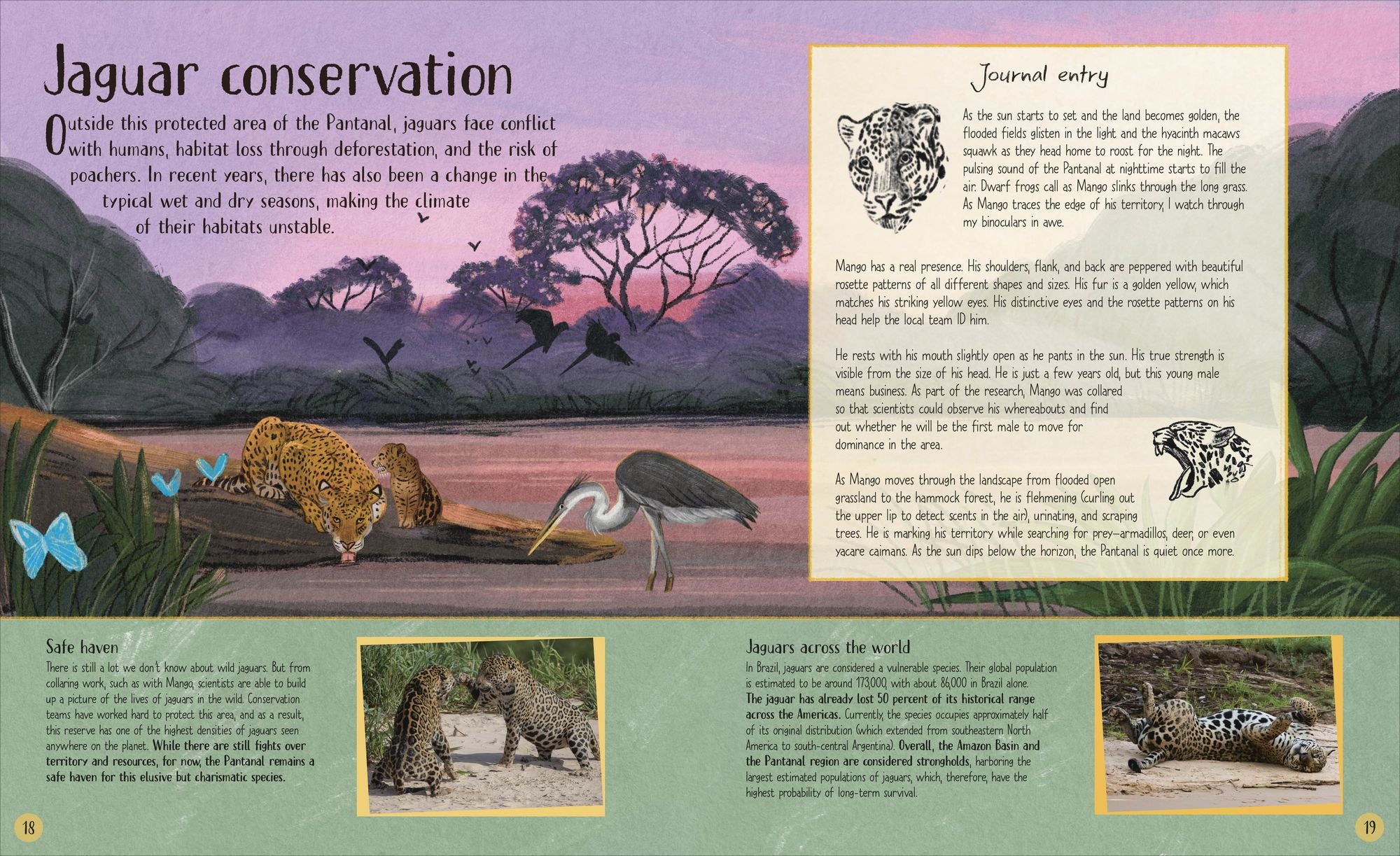 Life in the Wild: Observing the Mysterious Lives of 10 Real Animals