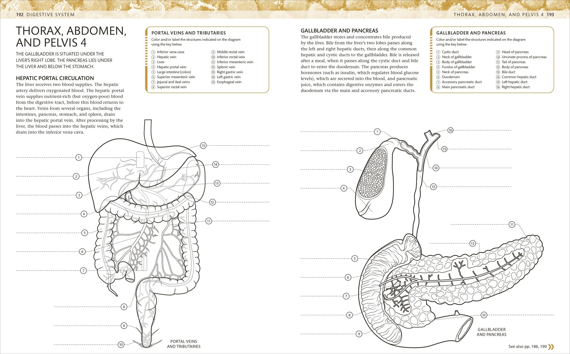 The Human Body Coloring Book: The Ultimate Anatomy Study Guide, Second Edition