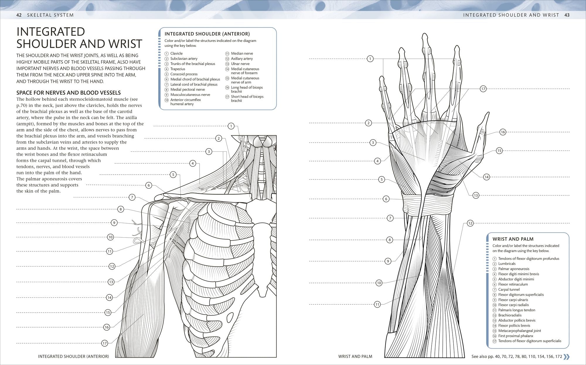 The Human Body Coloring Book: The Ultimate Anatomy Study Guide, Second Edition