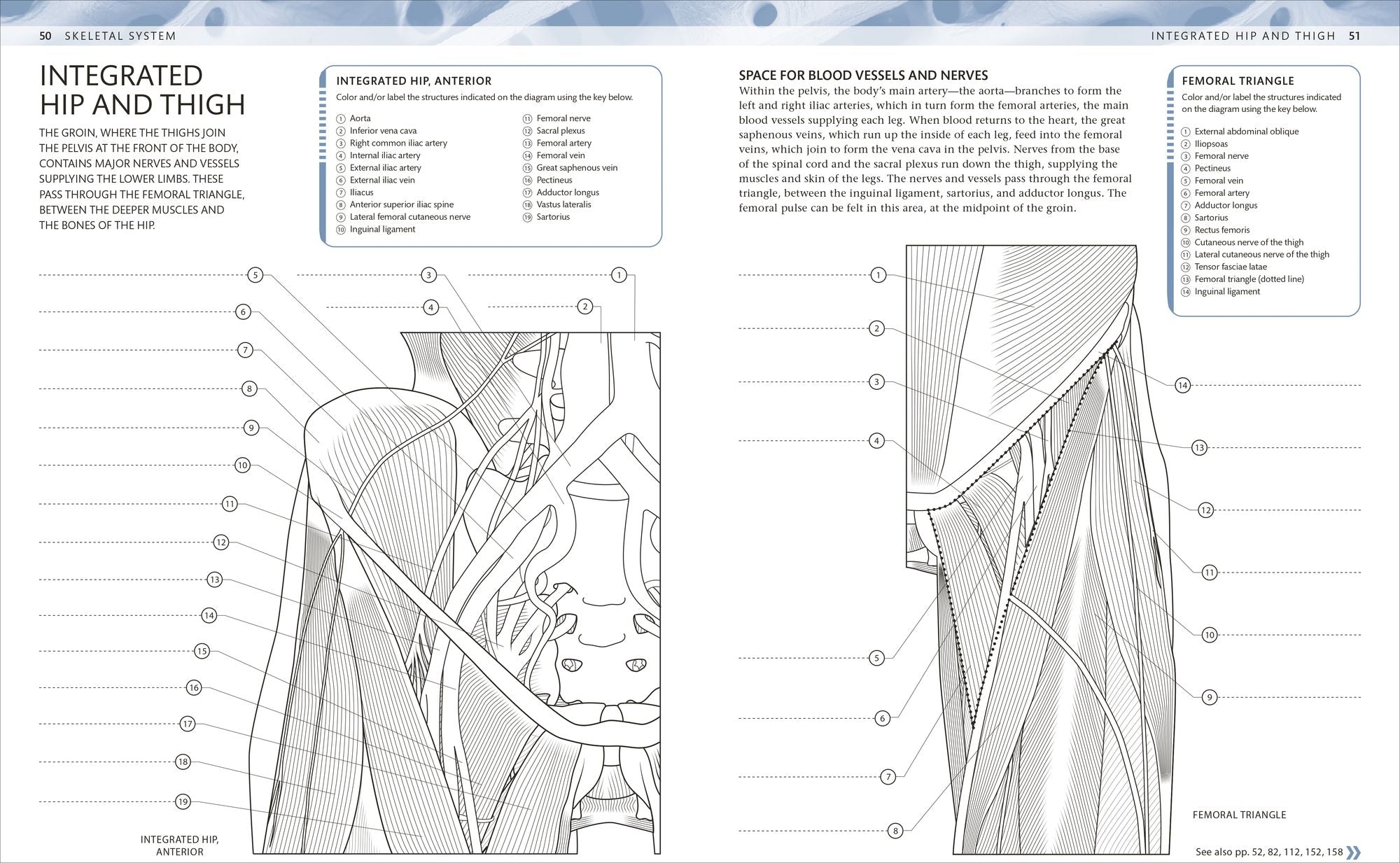 The Human Body Coloring Book: The Ultimate Anatomy Study Guide, Second Edition