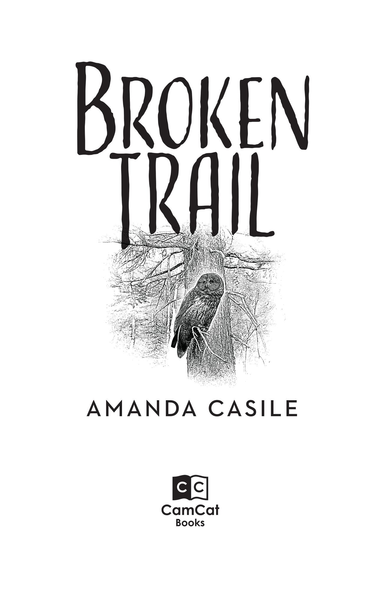 Broken Trail