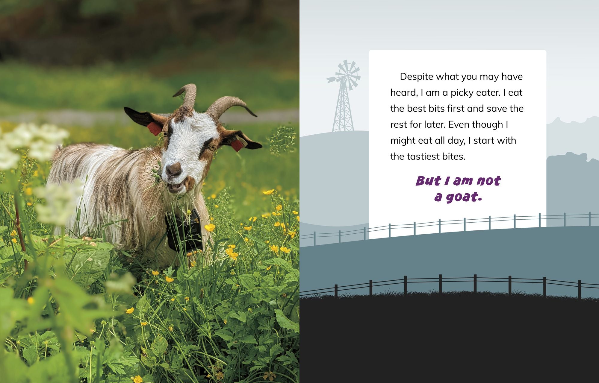 I Am Not a Chicken: Animals on the Farm