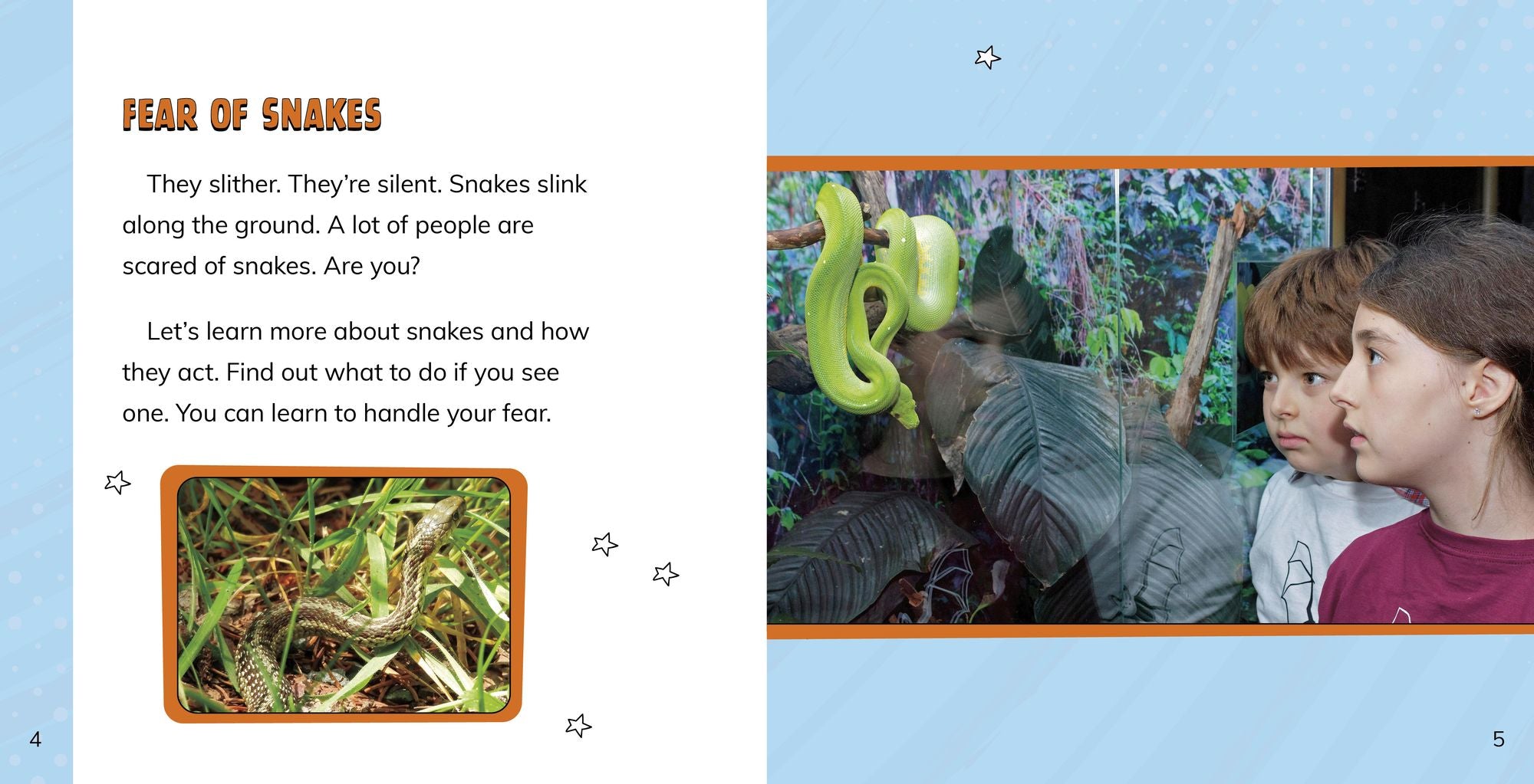 Facing Your Fear of Snakes