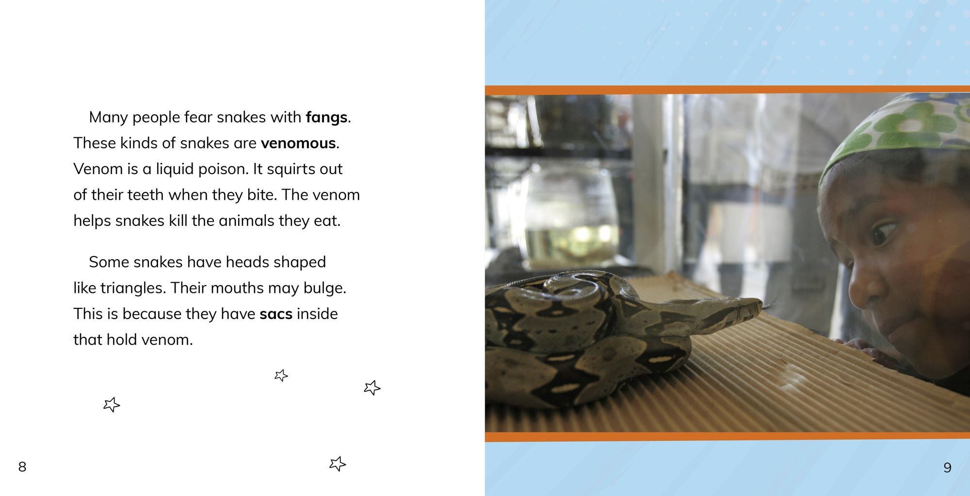 Facing Your Fear of Snakes