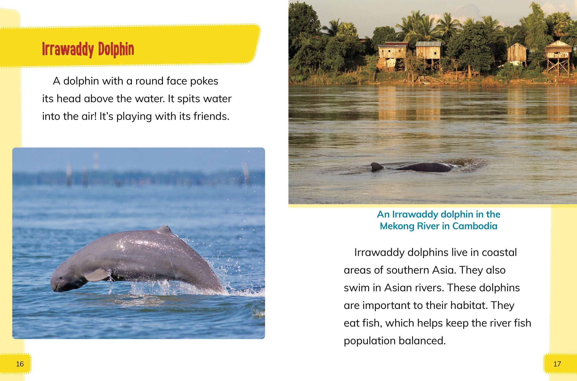 Endangered Mammals Around the World