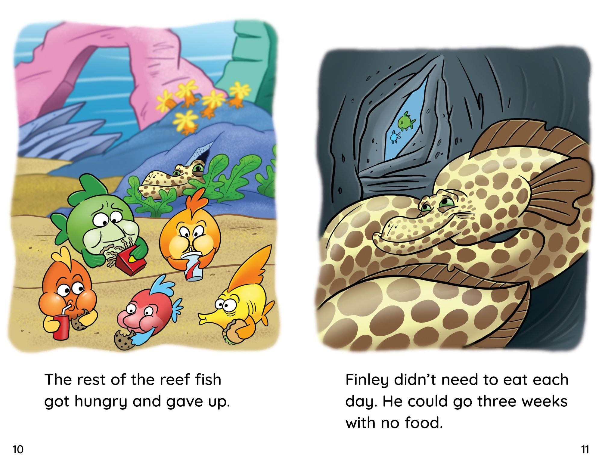Eel Hides
