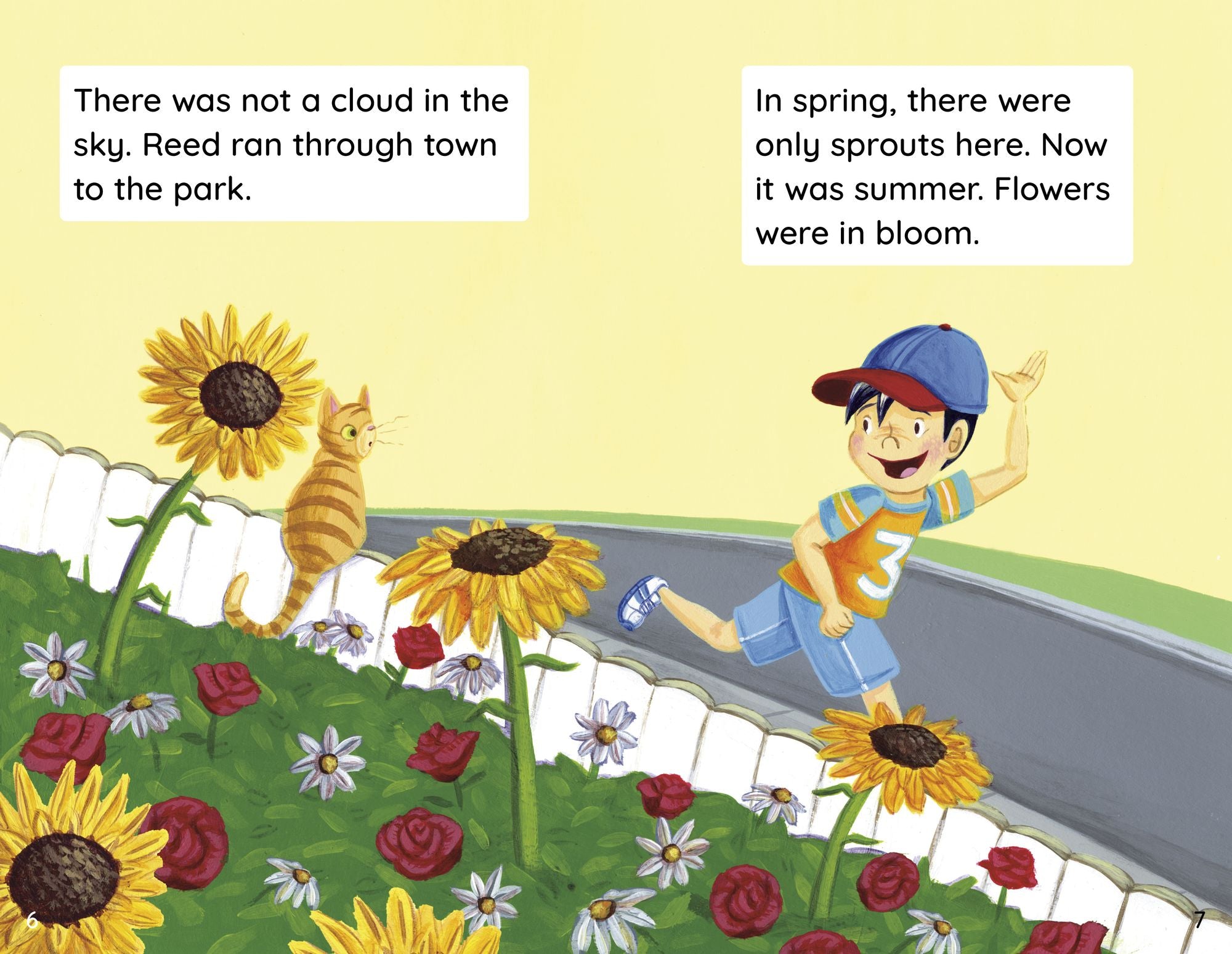 Summer at the Park