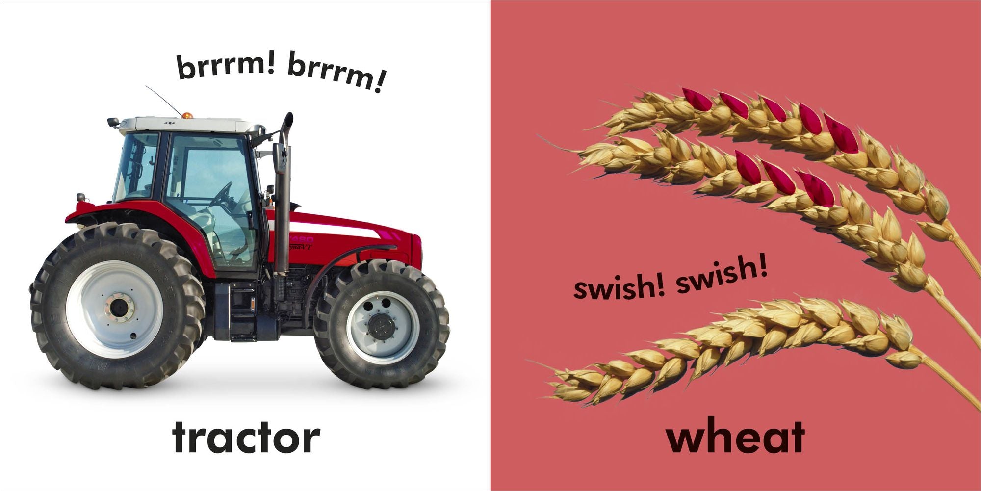 Baby Touch and Feel Farm