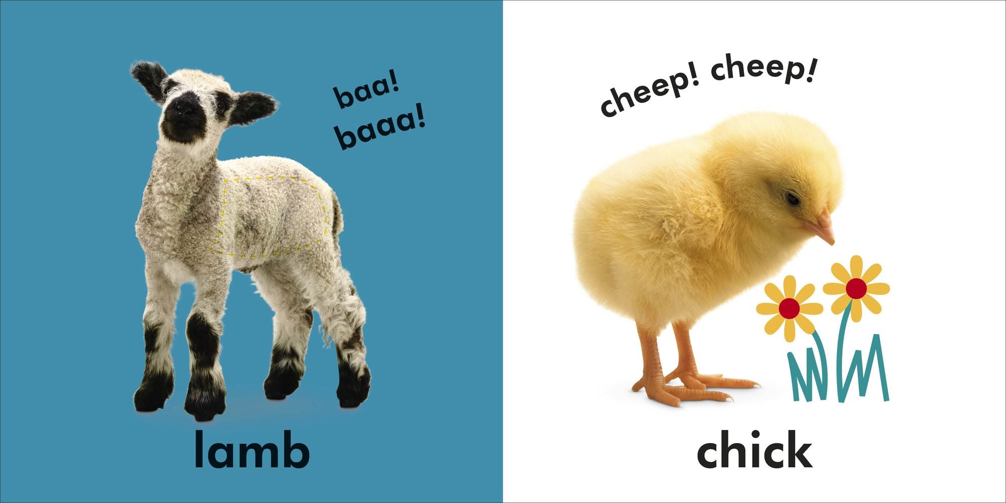 Baby Touch and Feel Farm