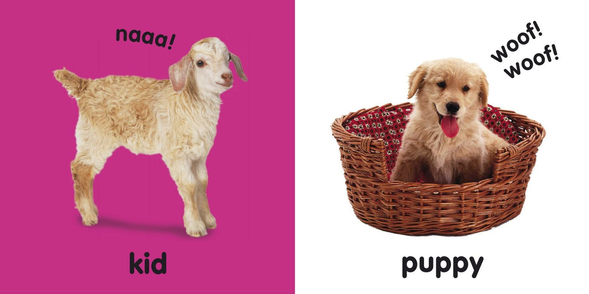 Baby Touch and Feel Baby Animals: An Interactive Little Ones Board Book