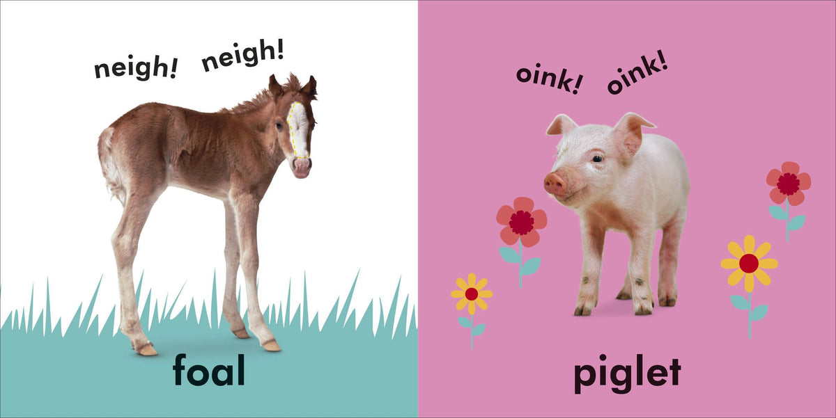 Baby Touch and Feel Baby Animals: An Interactive Little Ones Board Book