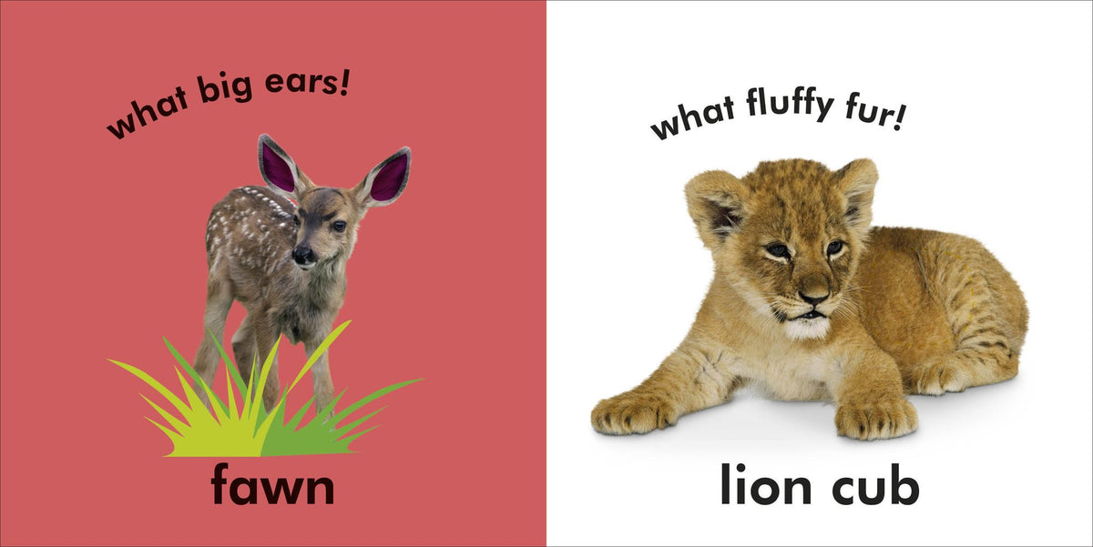 Baby Touch and Feel Baby Animals: An Interactive Little Ones Board Book