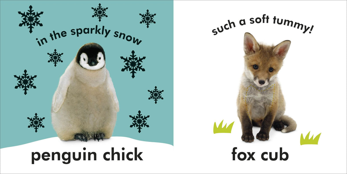 Baby Touch and Feel Baby Animals: An Interactive Little Ones Board Book