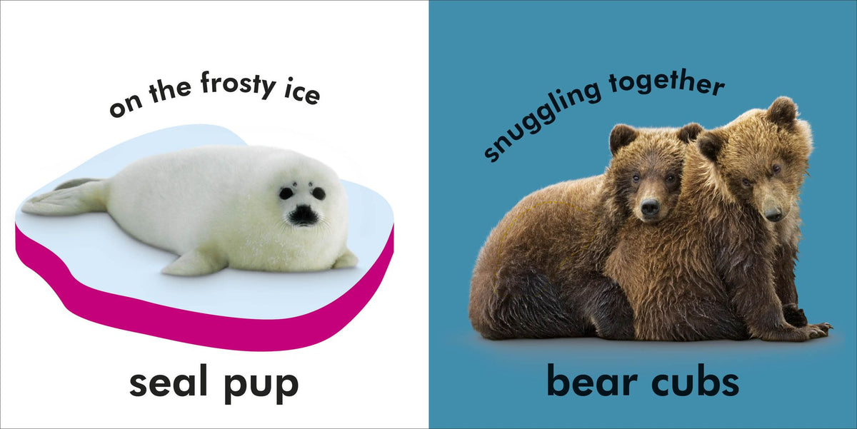 Baby Touch and Feel Baby Animals: An Interactive Little Ones Board Book