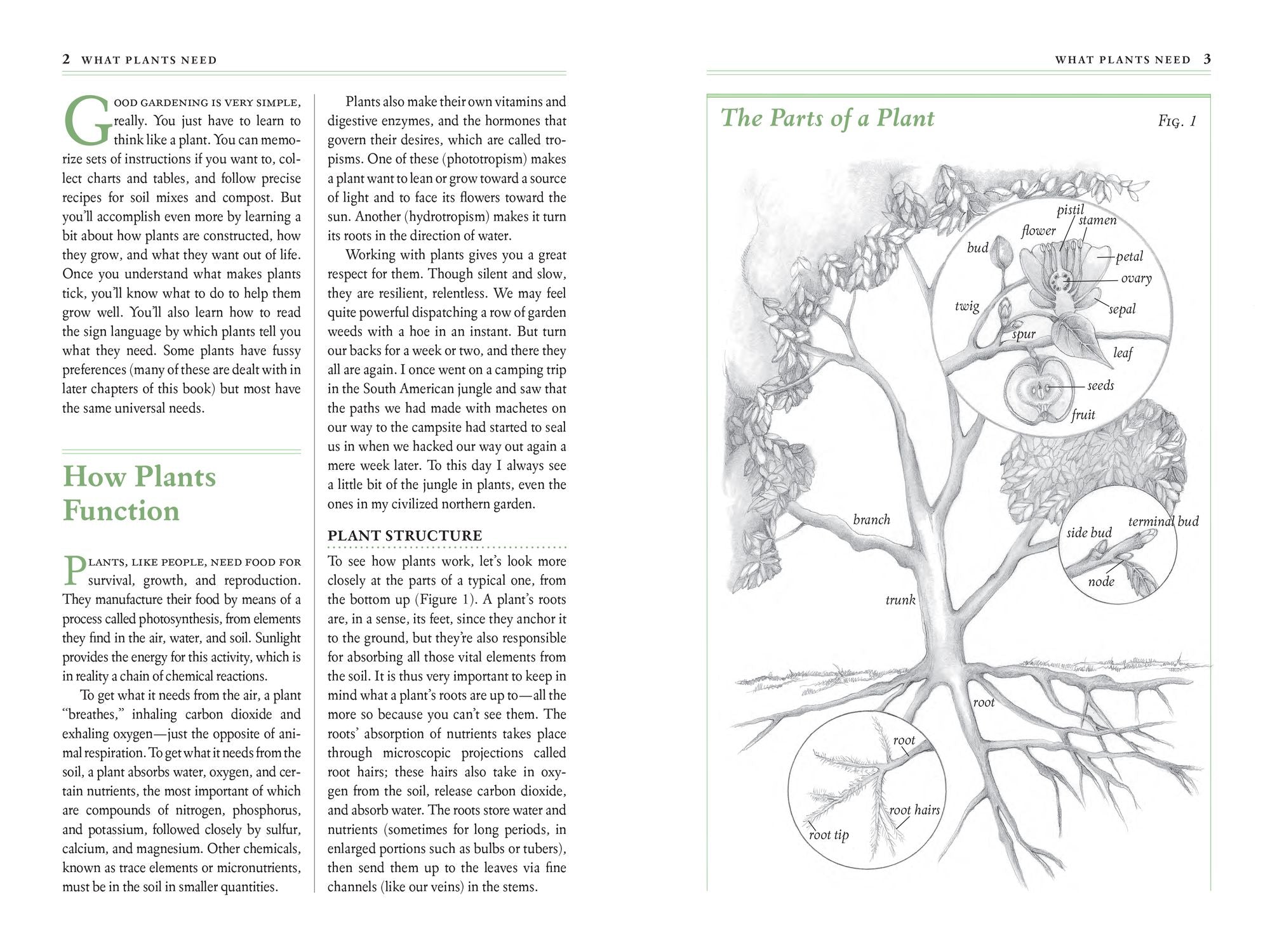 The Garden Primer: The Completely Revised Gardener's Bible - 100% Organic