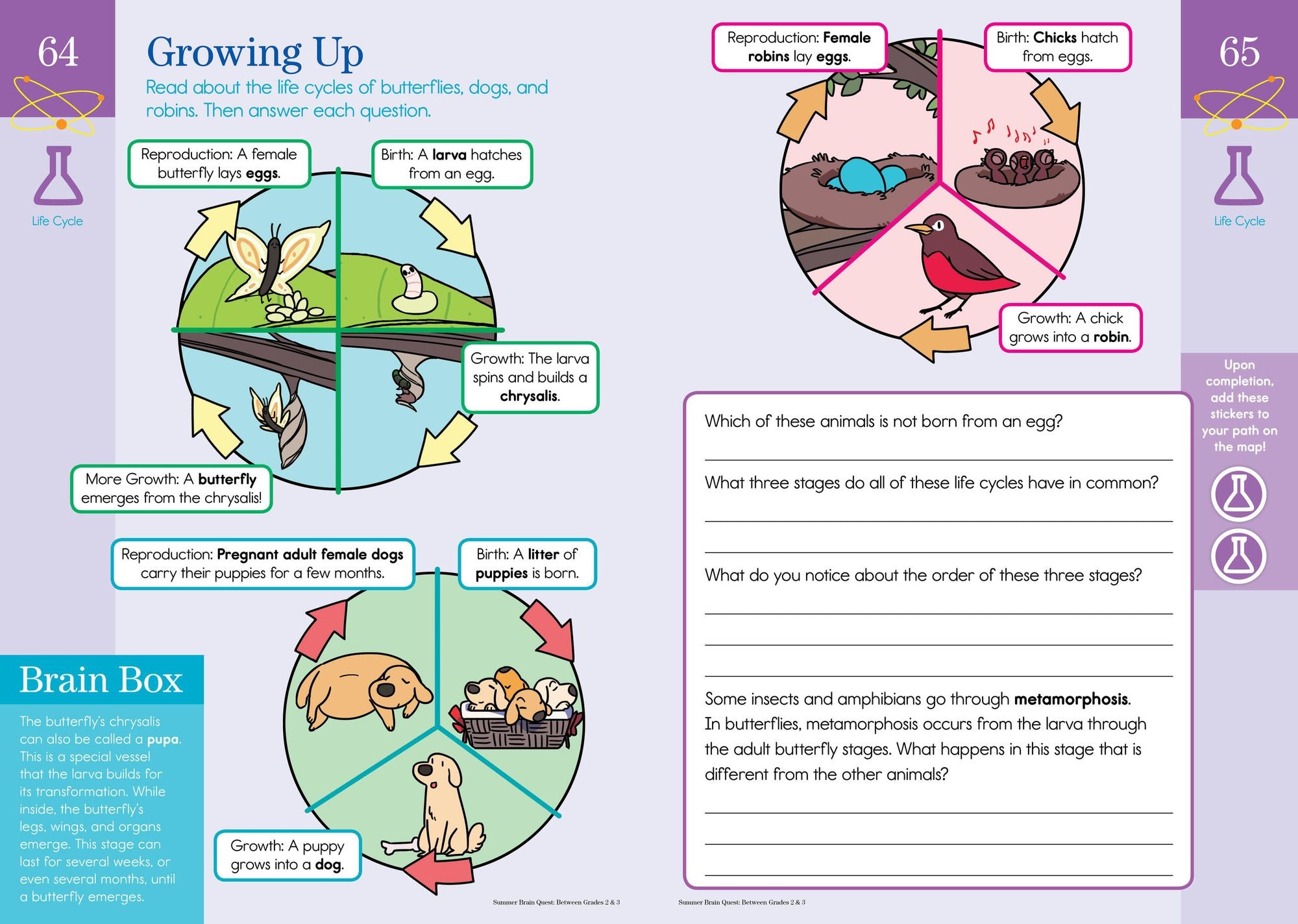 Summer Brain Quest: Between Grades 2 & 3