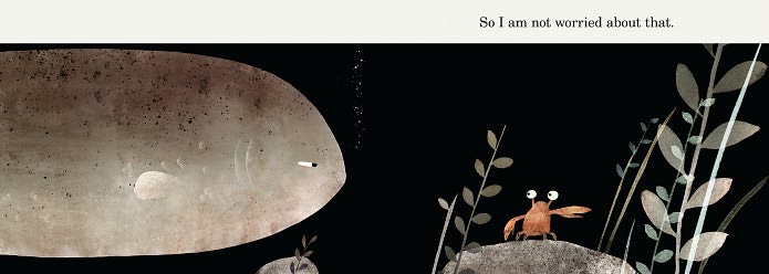 This Is Not My Hat (Caldecott Medal Winner)