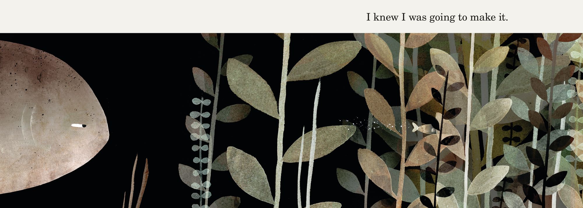 This Is Not My Hat (Caldecott Medal Winner)