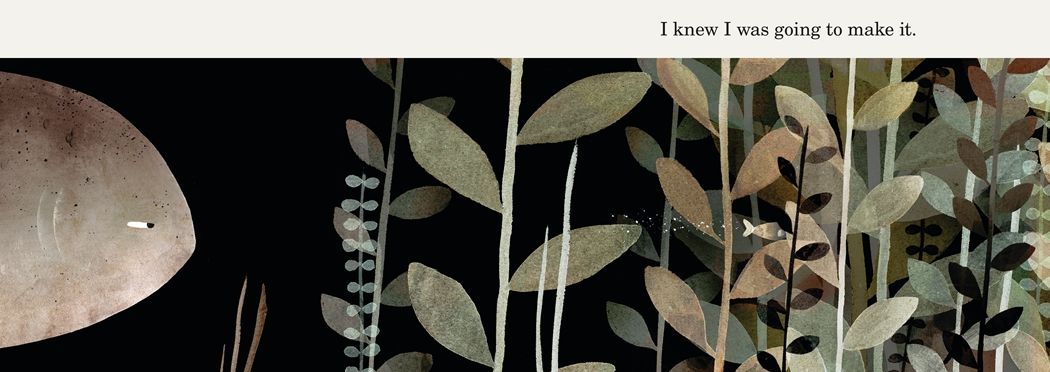 This Is Not My Hat (Caldecott Medal Winner)