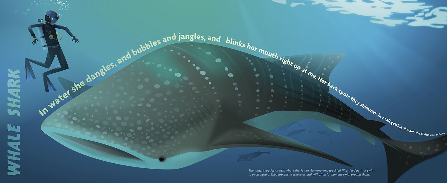 Slickety Quick: Poems about Sharks