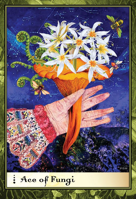 Boadicea's Tarot of Earthly Delights: (Tarot Kit Box Set with 80 Cards and Guide Book)