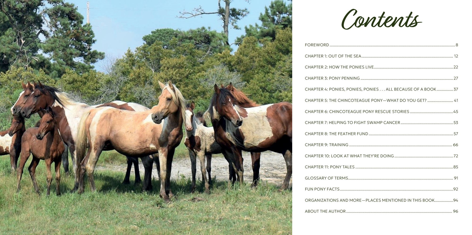 Out of the Sea: Today's Chincoteague Pony (2nd Edition)