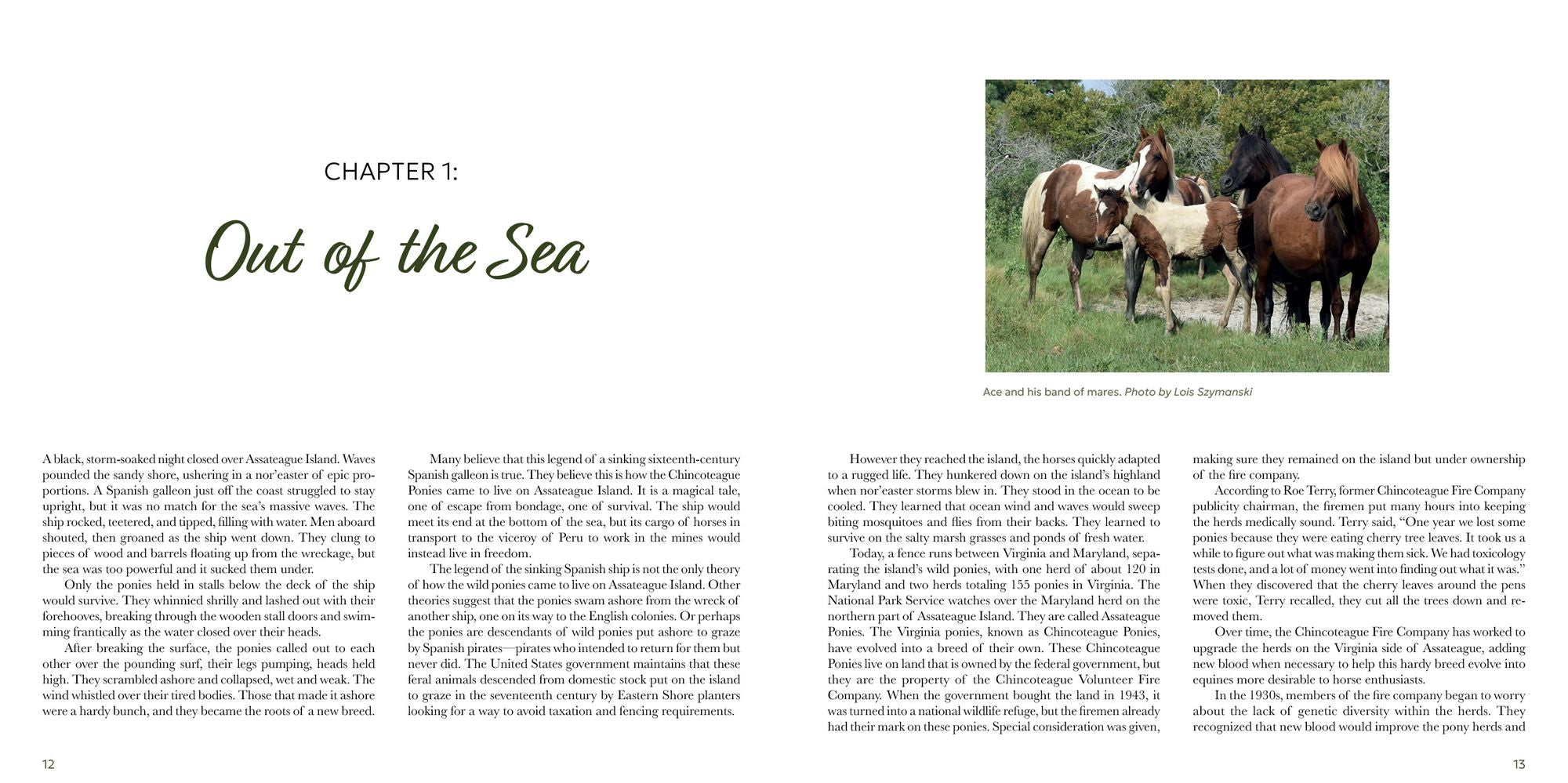 Out of the Sea: Today's Chincoteague Pony (2nd Edition)