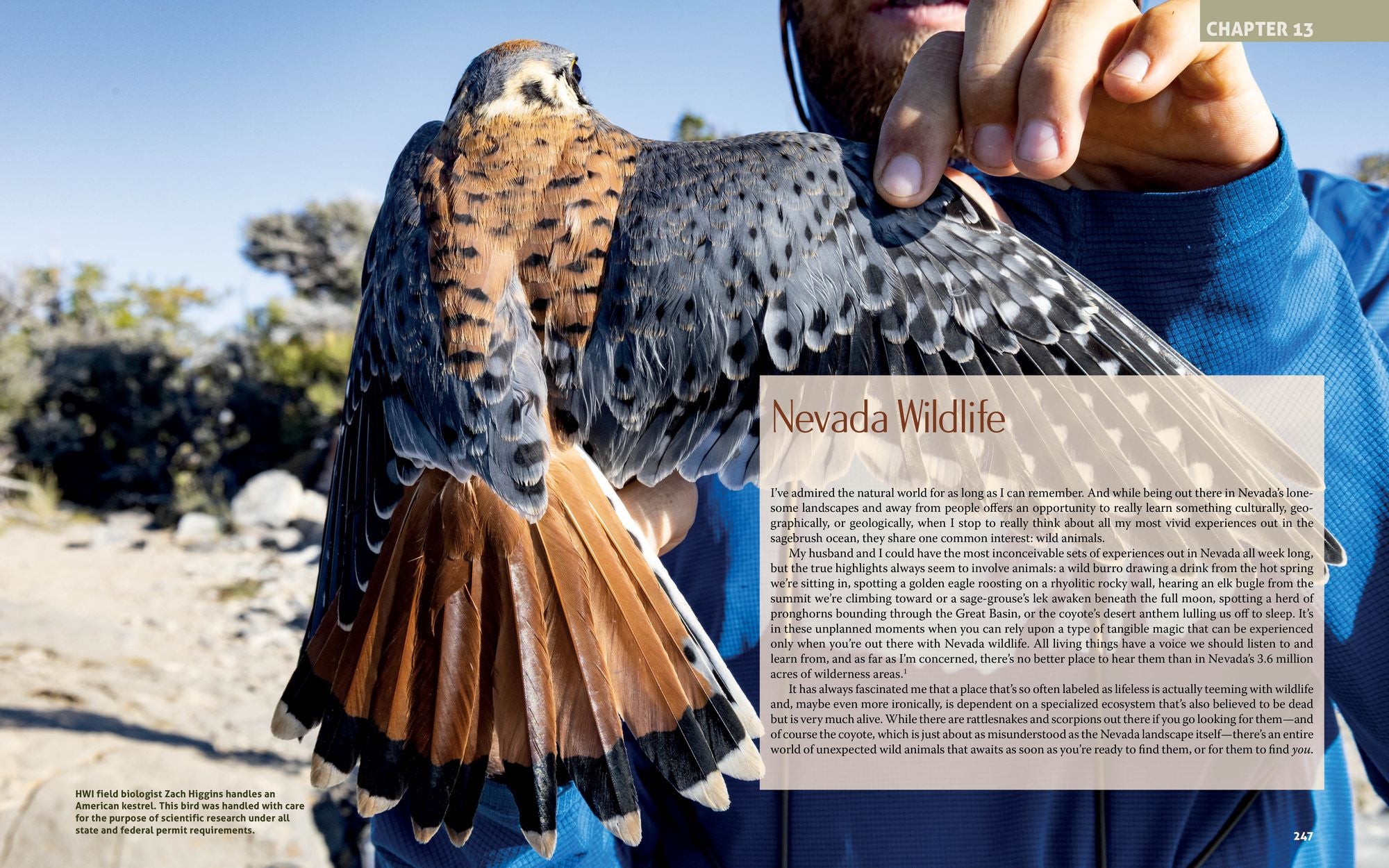 Finding Nevada Wild: The Terrain, Culture, and People of the Most Mysterious State in the West