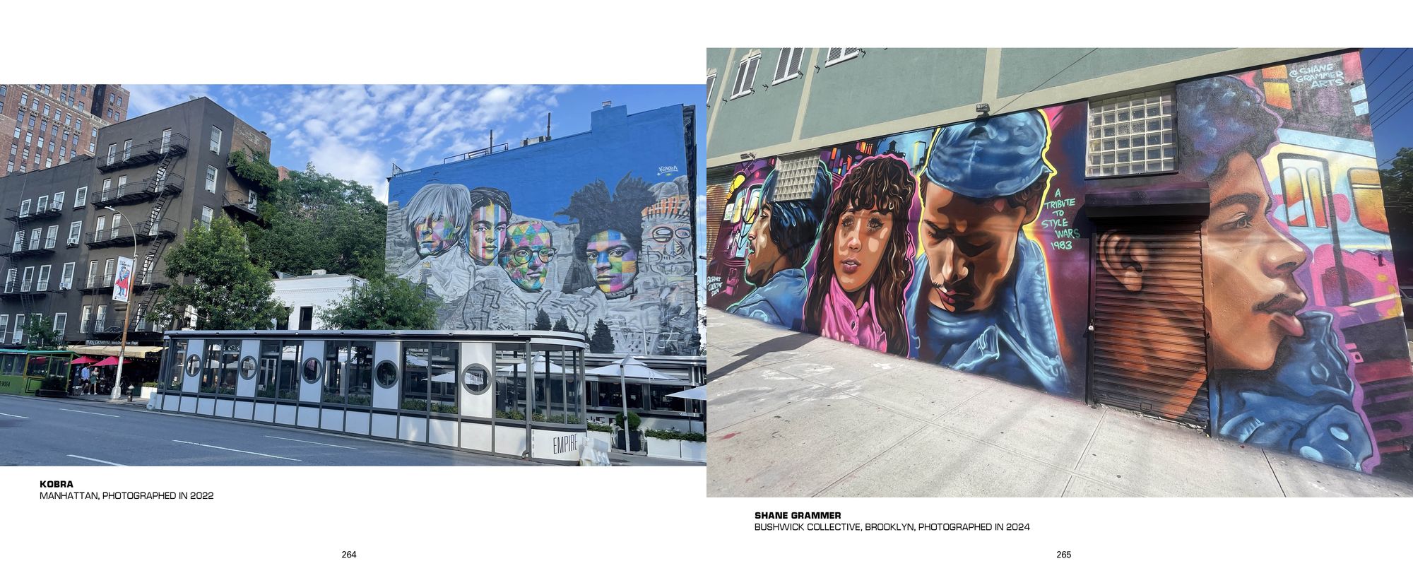 Aerosol Art Kings: Photographs of Street Art in New York City, 2018-2024