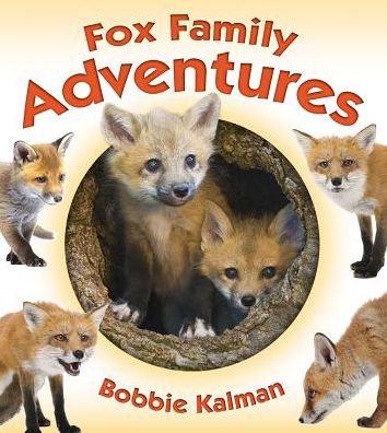 Fox Family Adventures