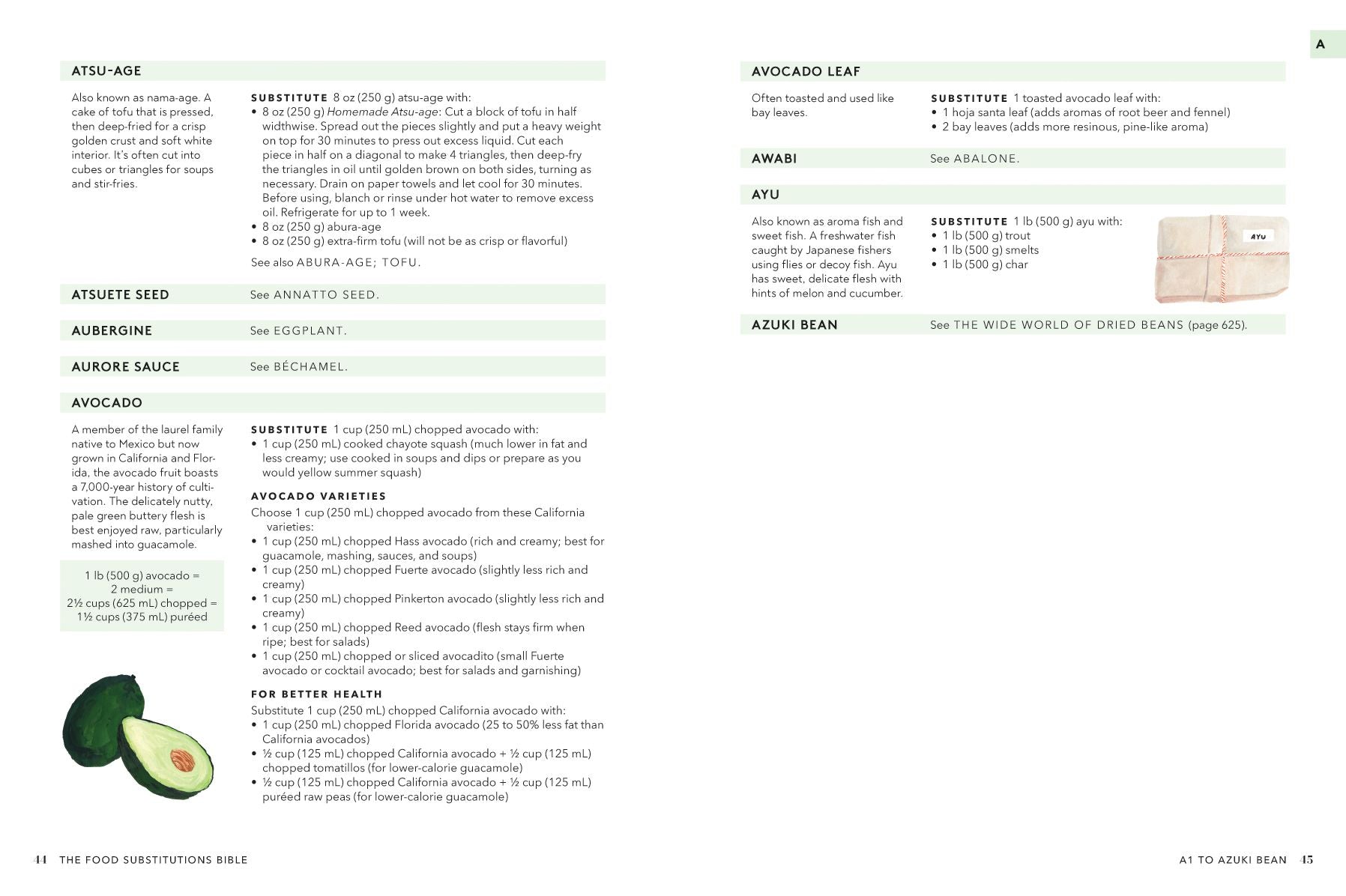 The Food Substitutions Bible: 8,000 Substitutions for Ingredients, Equipment and Techniques