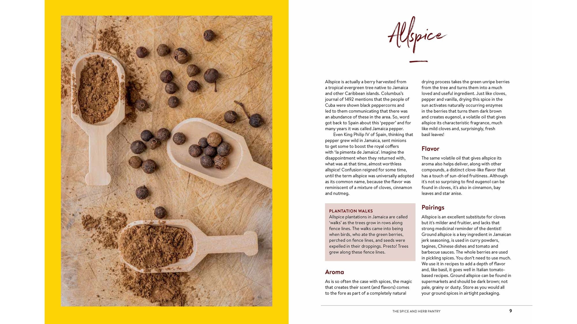 How to Add Flavor: An Introduction to Spices and Herbs