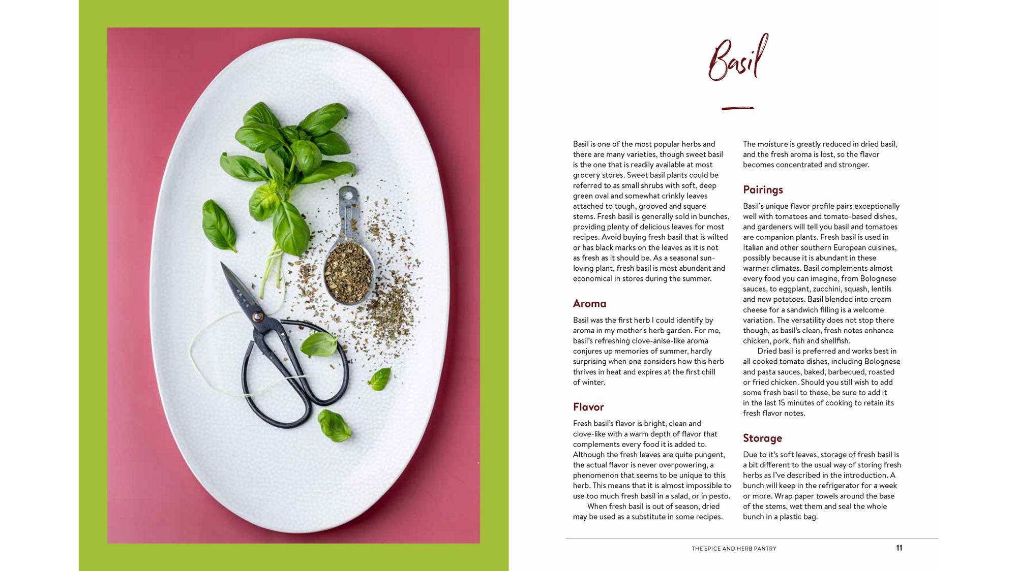 How to Add Flavor: An Introduction to Spices and Herbs