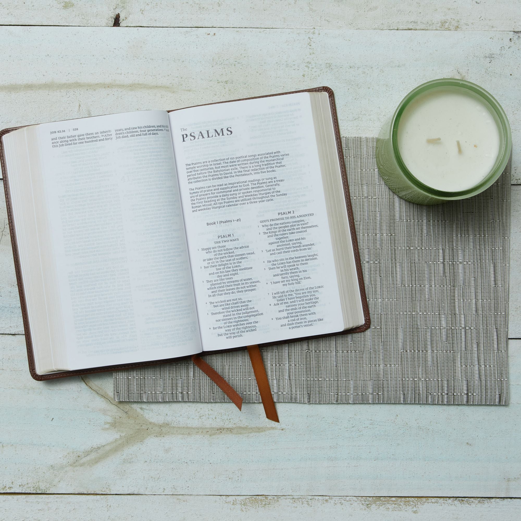 NRSV Catholic Edition Gift Bible, White Leathersoft (Comfort Print, Holy Bible, Complete Catholic Bible, NRSV CE): Holy Bible